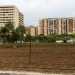 Ma non  lunico spazio verde qui presente: allombra dei palazzoni vi  anche un vasto terreno coltivato sede dellOrto in citt di Mario Urbano, dove ogni mattina  possibile comprare prodotti agricoli a km0